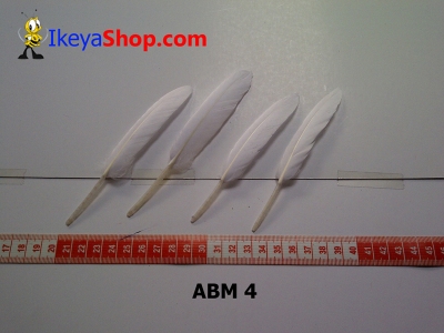 bulu angsa mini ABM 4   feather  large2